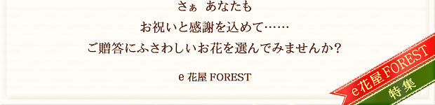 �����A���Ȃ������j���Ɗ��ӂ����߂āE�E�E�������ɂӂ��킵�����Ԃ�I��ł݂܂��񂩁H�@e�ԉ��t�H���X�g