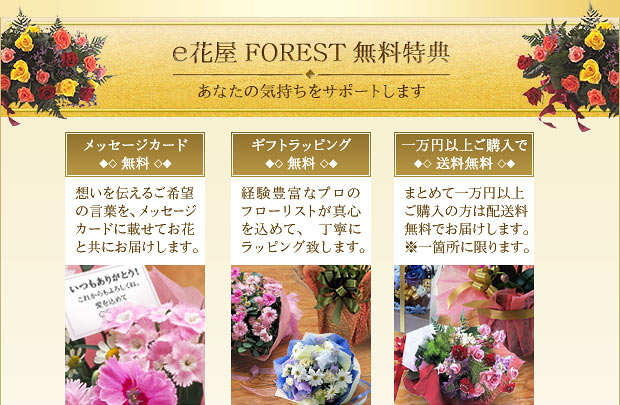 �����A�ԉ��t�H���X�g�^�������T