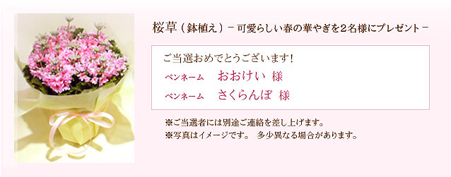 �v���[���g�����I��